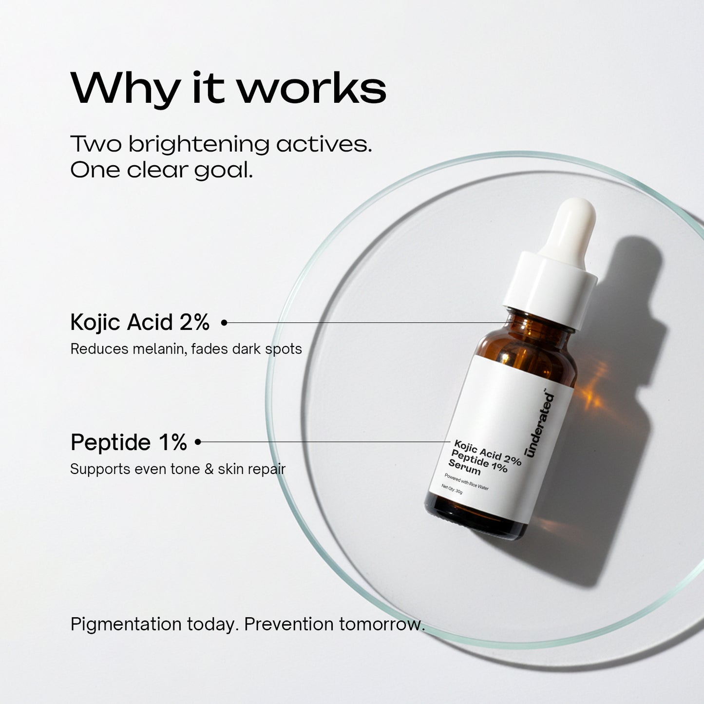 Kojic Acid 2% + Peptide 1% Serum