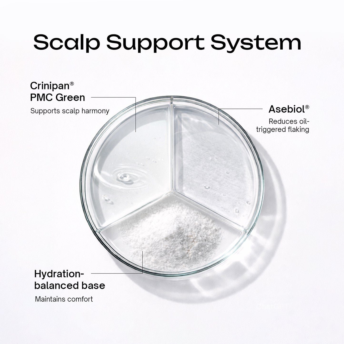 Anti-Dandruff Scalp Serum